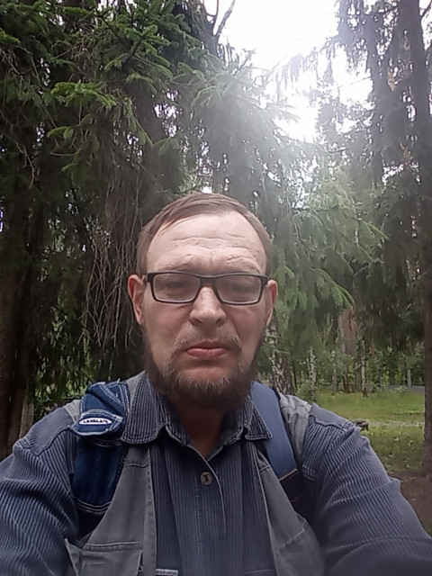 Прогулка в лесополосе