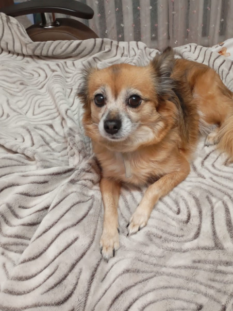 Виктор, Россия, Симферополь. Фото на сайте ГдеПапа.Ру