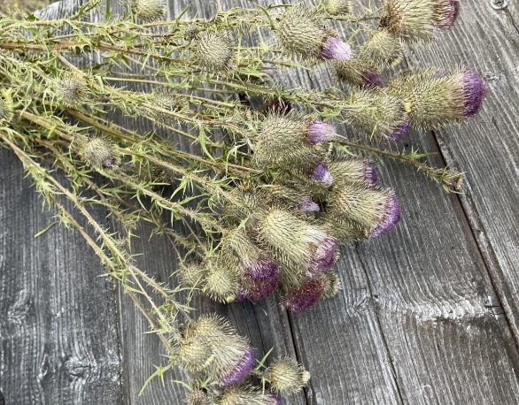 Цветы или деньги.