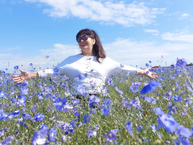 Цветёт лен. Крым