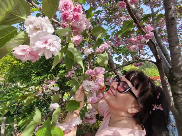 любуюсь последними цветочками сакуры.