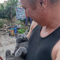 Николай, Россия, Донецк, 48 лет