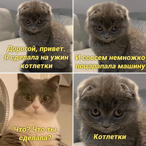 О котлетках)