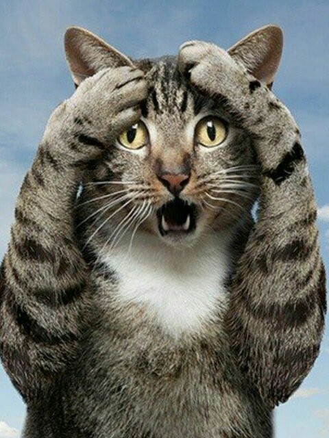 Сергей, Россия, Москва, 45 лет. Знакомство с мужчиной из Москвы