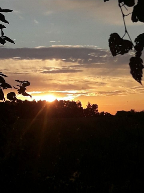 Олег, Россия, Москва. Фото на сайте ГдеПапа.Ру