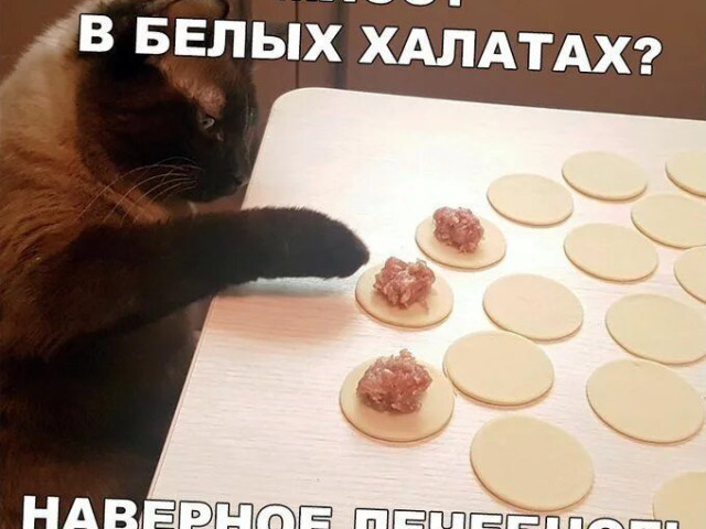 Виктор, Россия, Москва. Фото на сайте ГдеПапа.Ру