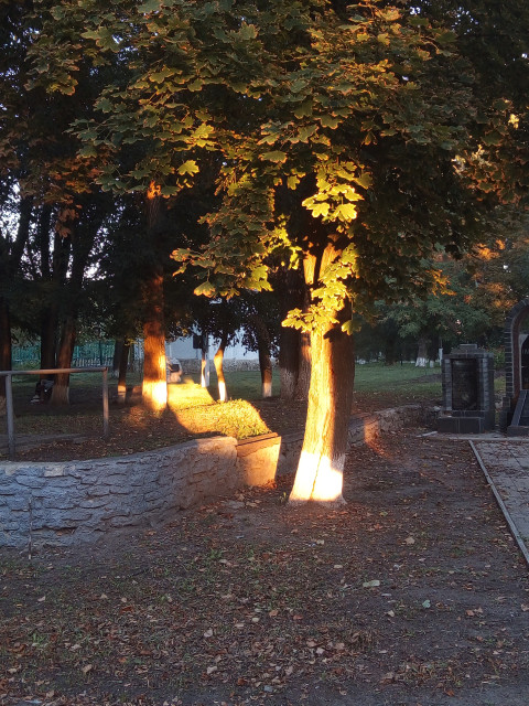 Сергей, Россия, Старобельск, 67 лет, 1 ребенок. Познакомлюсь с женщиной для любви и серьезных отношений.вдовец не пью не курю свой дом