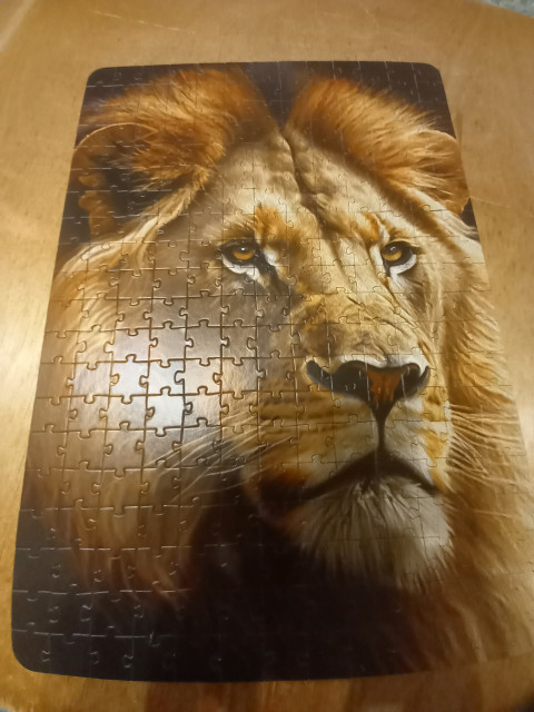 Влад, Санкт-Петербург, м. Дунайская. Фото на сайте ГдеПапа.Ру