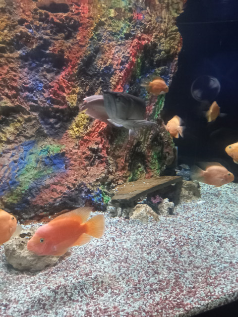 Влад, Санкт-Петербург, м. Дунайская. Фото на сайте ГдеПапа.Ру