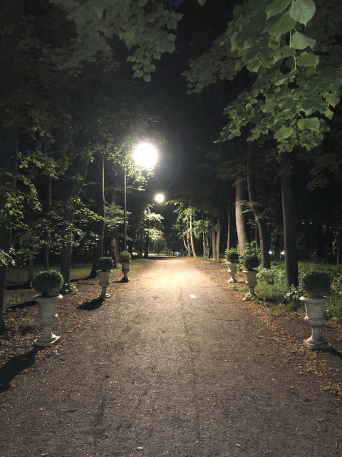 Тимур, Россия, Москва, 35 лет. Познакомлюсь с женщиной для любви и серьезных отношений, дружбы и общения.  Анкета 803538. 