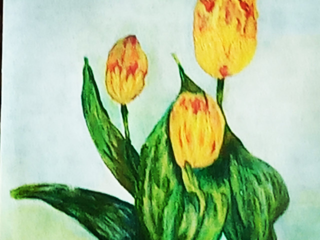 Владимир, Россия, Омск. Фото на сайте ГдеПапа.Ру