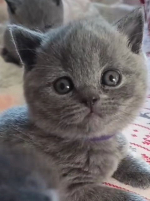 Владимир, Россия, Омск. Фото на сайте ГдеПапа.Ру