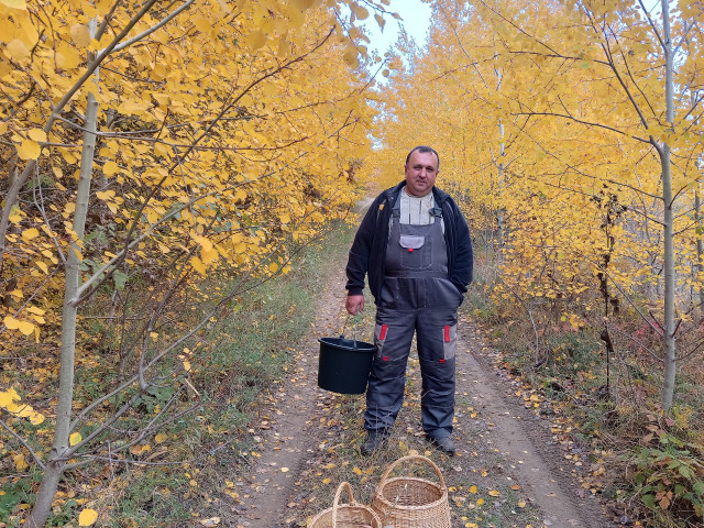 Алексей, Россия, Краснодар. Фото на сайте ГдеПапа.Ру