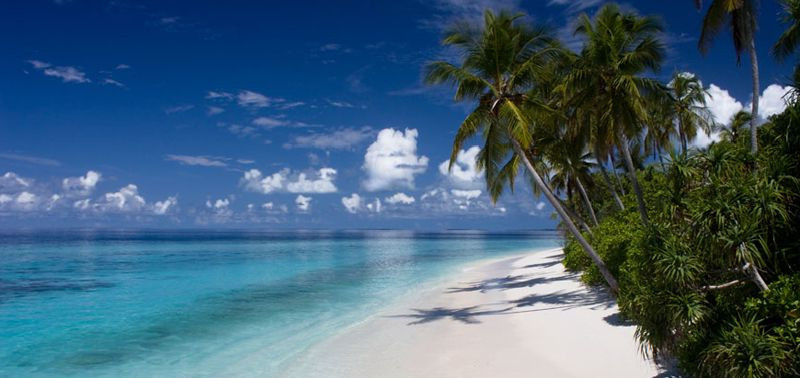 Адский рай или…