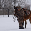 Алексей, Россия, Николаевск. Фотография 1624894