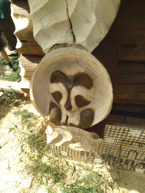 Нил, Россия, Приозерск. Фото на сайте ГдеПапа.Ру