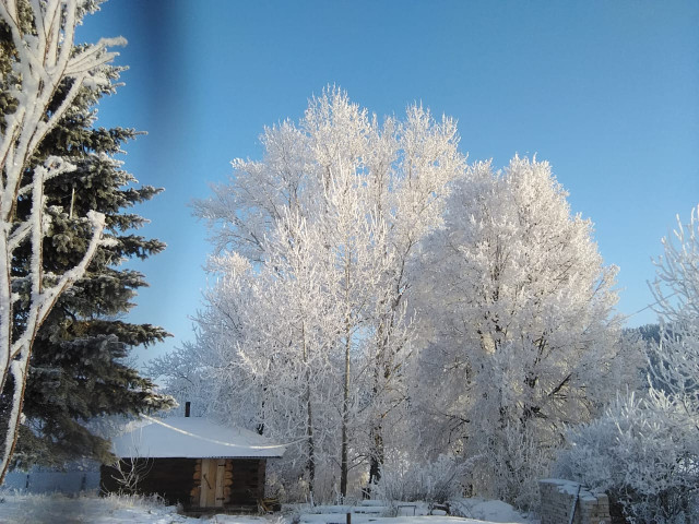 Нил, Россия, Приозерск. Фото на сайте ГдеПапа.Ру