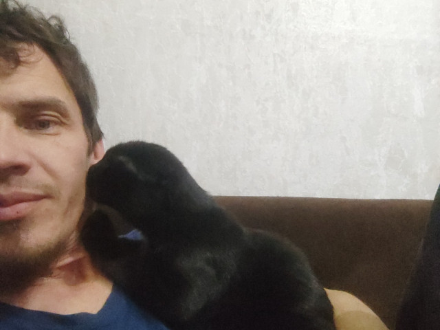 Нано Технолог, Россия, Грозный, 36 лет. Какую я ищу такую как я простую
Вот это машины квартиры разговоры не должны быть у простойИщу девушку для совместной жизни если есть дети это не мешает я человек просто
Кому жить одной надо