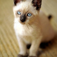 Дина Попова., Россия, Тверь, 50 лет