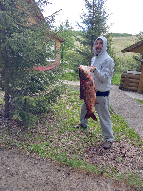 Поймали рыбку