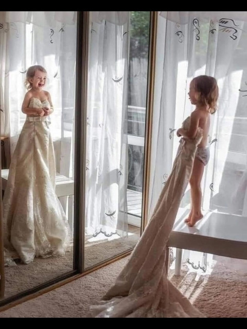 Чайка, Россия, Мариуполь. Фото на сайте ГдеПапа.Ру