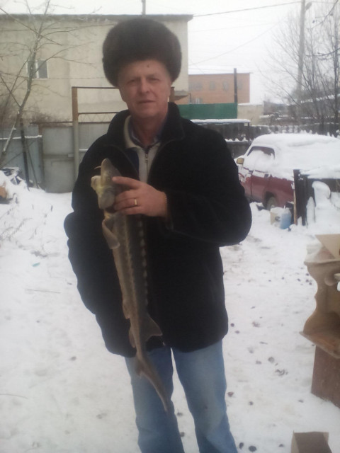 Осетр "сибирский" Обожаю осетрину в любом виде.