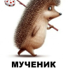 Вовка, Россия, Киржач, 41 год