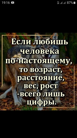 Карен, Россия, Липецк. Фото на сайте ГдеПапа.Ру