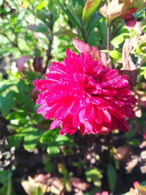 Евгений, Россия, Липецк. Фото на сайте ГдеПапа.Ру