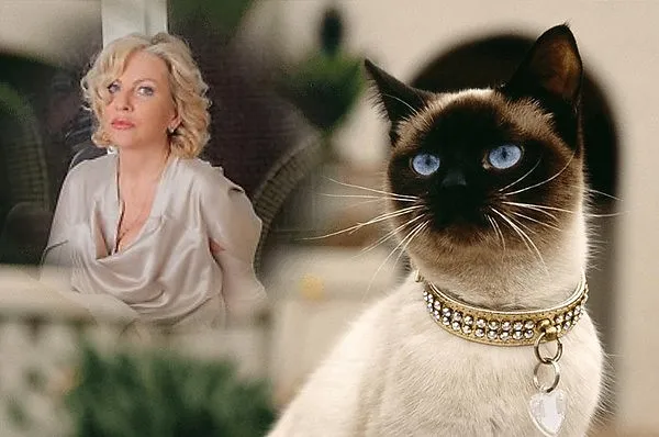 Юлия, Россия, Москва, 53 года, 1 ребенок. Познакомлюсь с мужчиной создания семьи.Москвичка. разведена. Сын взрослый, живет отдельно. Хочу познакомиться с мужчиной для семьи. Славянс