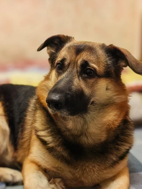 Наталья, Санкт-Петербург, м. Академическая, 47 лет. Познакомлюсь с мужчиной для дружбы и общения.Сволочь и стерва