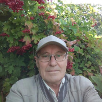 Анатолий, Россия, Калач, 68 лет