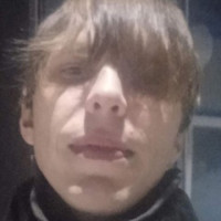 Дмитрий Озерков, Россия, Пермь, 35 лет