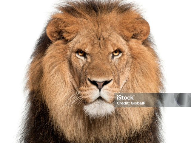 Михаил, Россия, Кубинка. Фото на сайте ГдеПапа.Ру