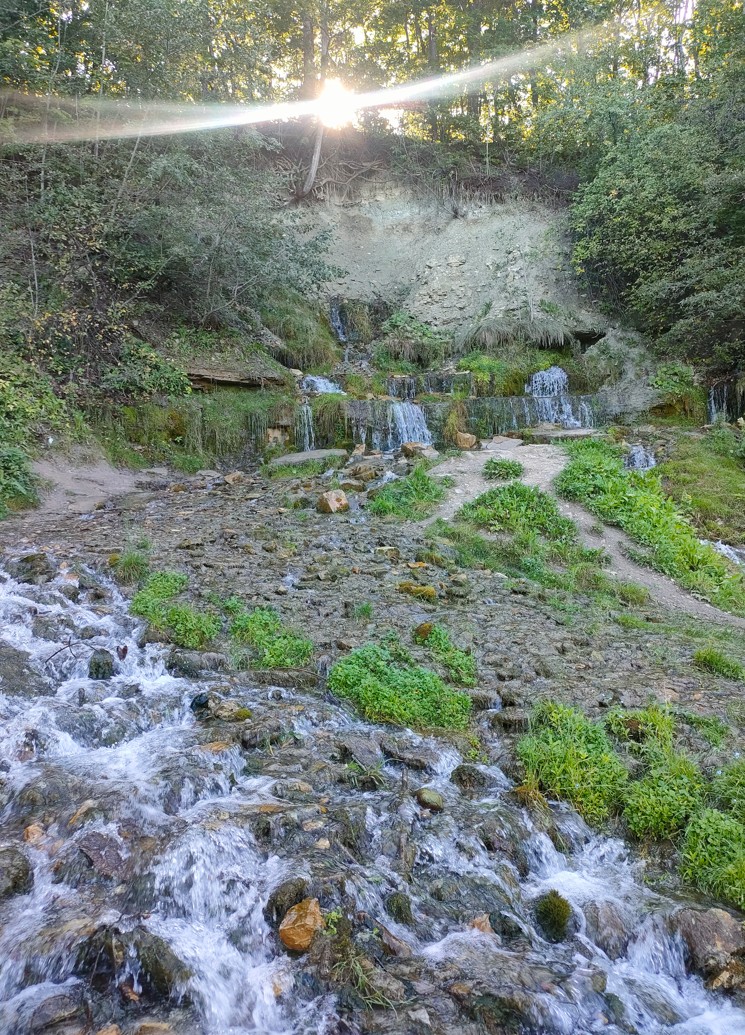 Тролль на болотах