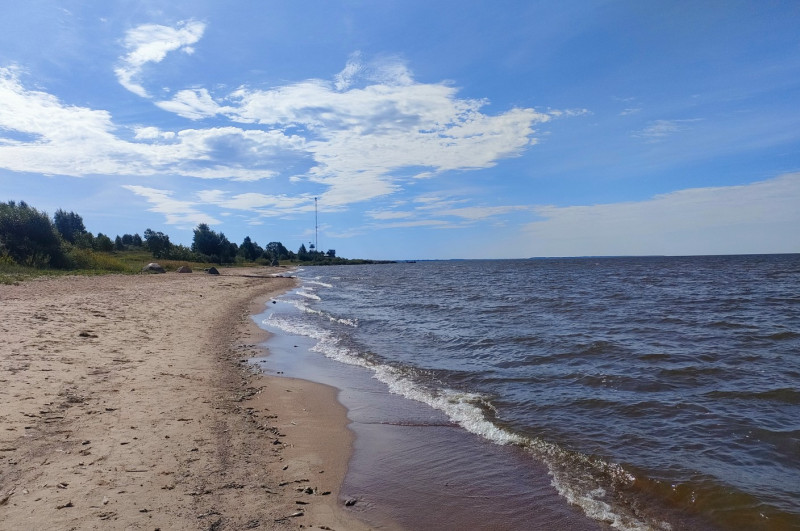 Тролль на болотах