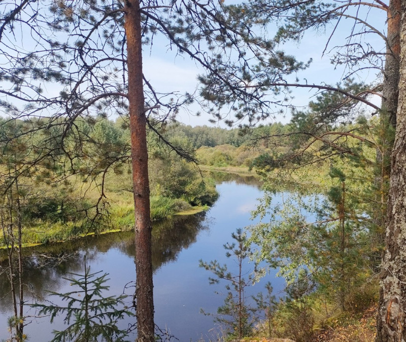 Тролль на болотах