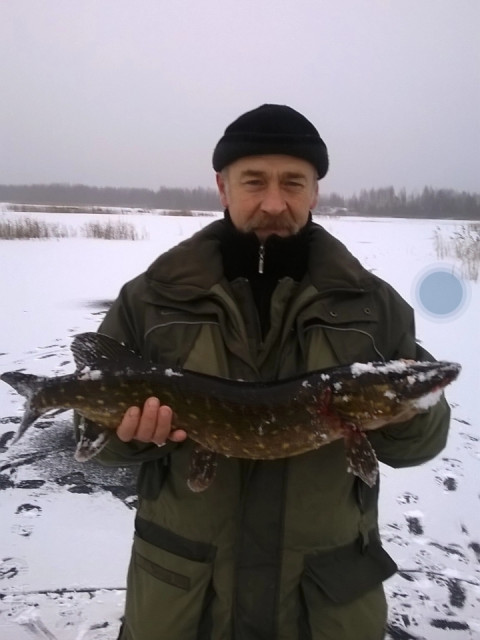 Михаил, Россия, Великий Новгород. Фото на сайте ГдеПапа.Ру