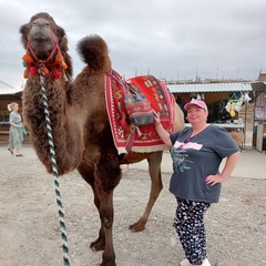 Лена, Всеволожск, 53 года, 1 ребенок, 4 фото. Ищу мужчину для жизни и совместного досуга  Анкета 815907. 