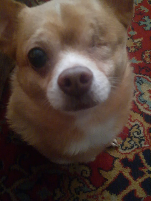 Марат, Россия, Новосибирск. Фото на сайте ГдеПапа.Ру