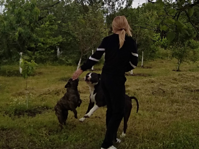 Irina, Россия, Геническ. Фото на сайте ГдеПапа.Ру