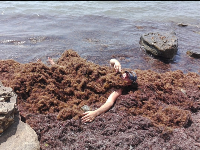 Алекс, Россия, Москва, 46 лет. Познакомлюсь с женщиной для любви и серьезных отношений, брака и создания семьи, воспитания детей, рУчусь, работаю, в свободное время занимаюсь спортом, люблю читать, играю с детьми, люблю прогулки по