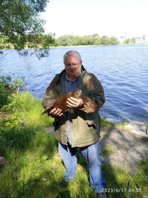 Дмитрий, Россия, Белгород, 52 года, 1 ребенок. Познакомлюсь с женщиной для любви и серьезных отношений, дружбы и общения.Одинок. Ищу подругу для серьёзных длительных отношений