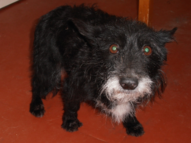 Serg, Россия, Ростов-на-Дону. Фото на сайте ГдеПапа.Ру