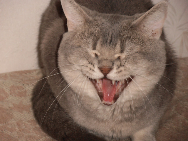 Serg, Россия, Ростов-на-Дону. Фото на сайте ГдеПапа.Ру