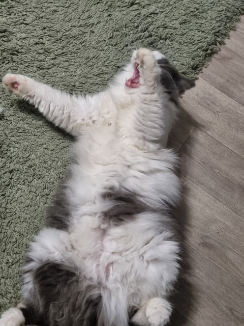 Алексей, Москва, м. Орехово. Фото на сайте ГдеПапа.Ру