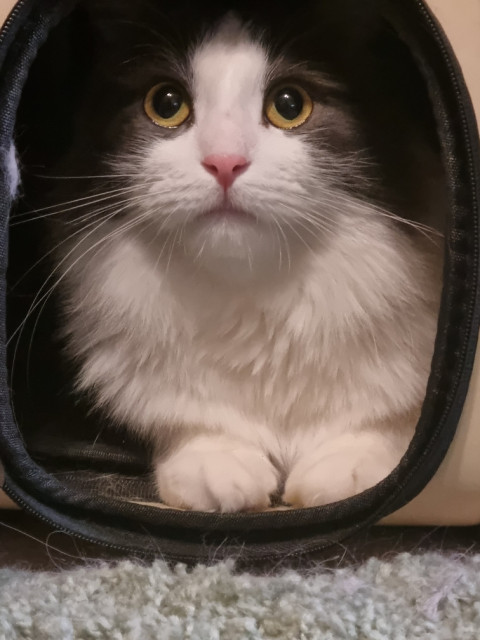 Алексей, Москва, м. Орехово. Фото на сайте ГдеПапа.Ру