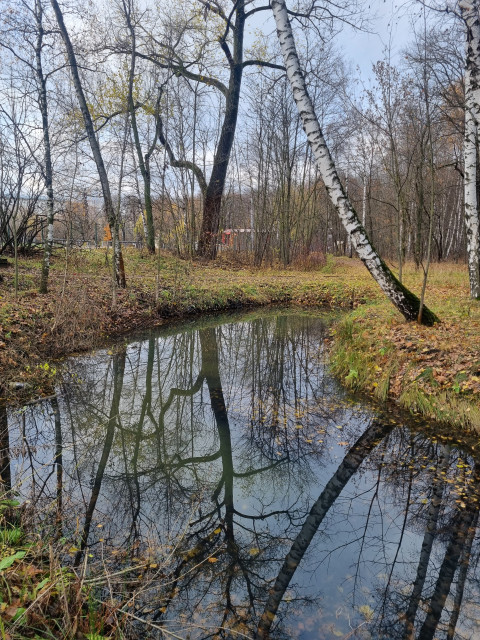 Любимая осень-мое наслажденье..