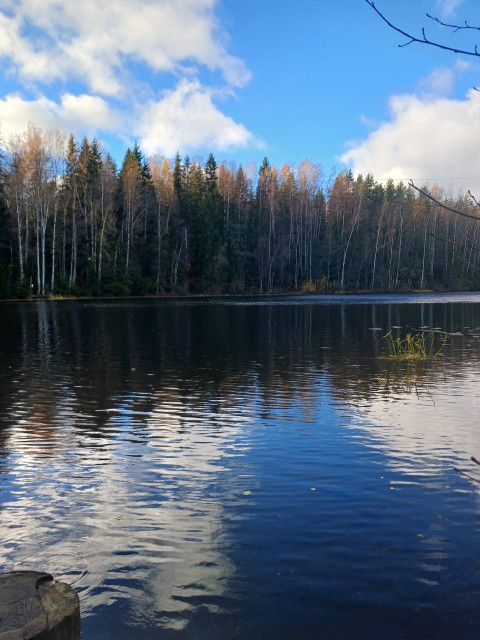 Мила, Санкт-Петербург, 69 лет, 2 ребенка, 1 фото. Познакомлюсь с мужчиной для брака и создания семьи.  Анкета 818583. 