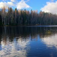 Мила, Россия, Санкт-Петербург, 69 лет